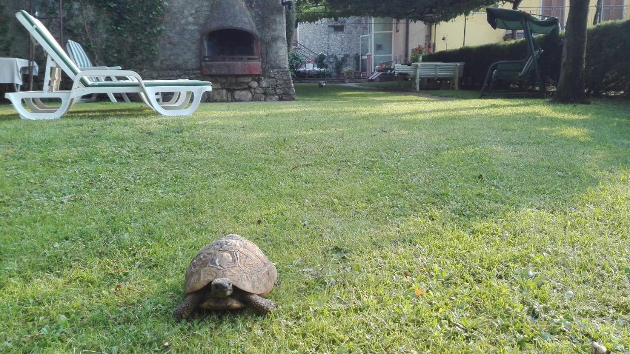 Corte Faliva Brenzone sul Garda Εξωτερικό φωτογραφία